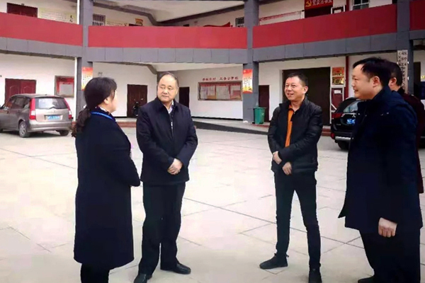 区委书记李宏杰深入南区办事处大河坎镇圣水镇等调研指导扫黑除恶工作